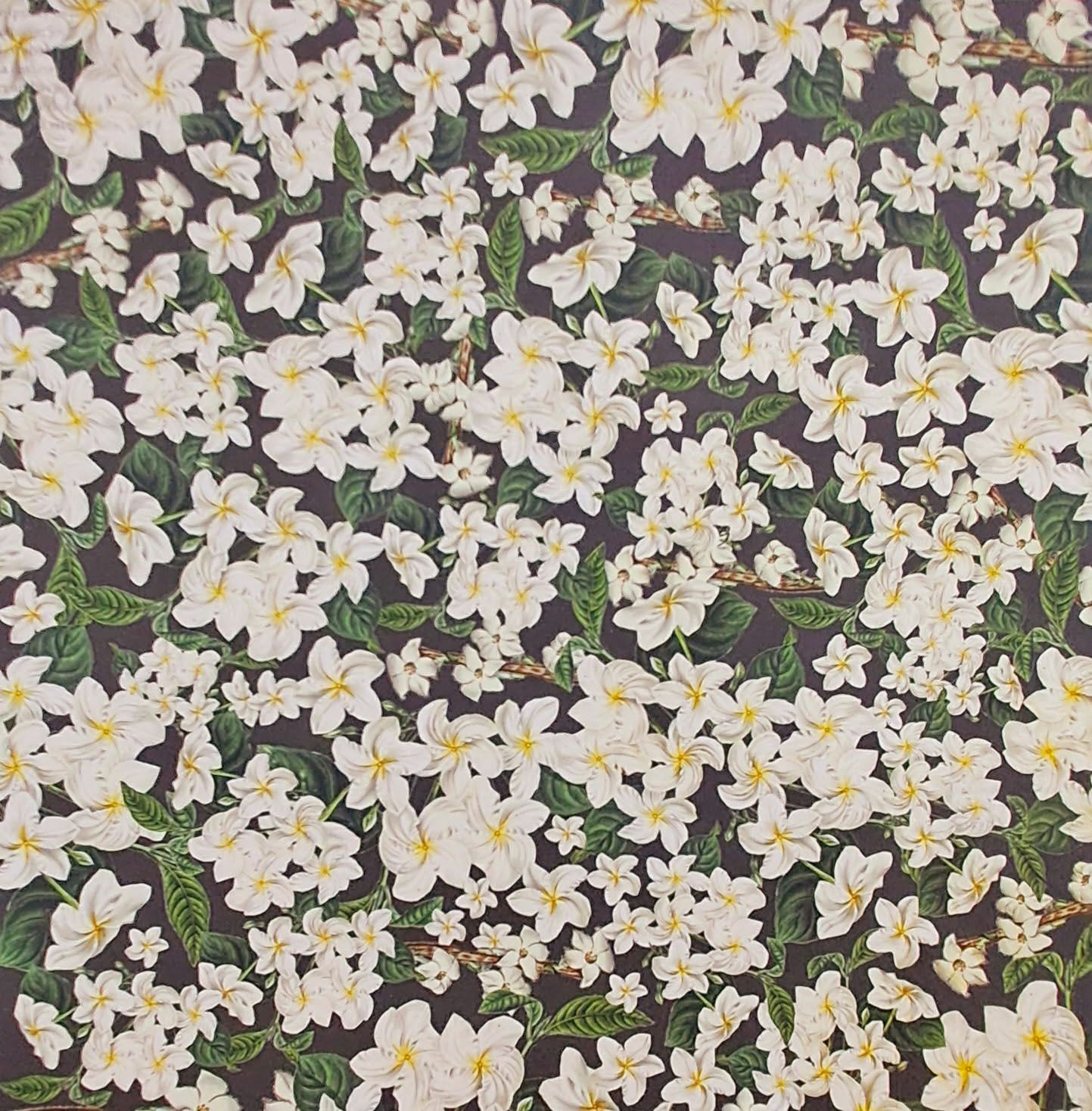 Kaisercraft - Limelight - 12&quot;x12&quot; Double-sided Paper - First Step