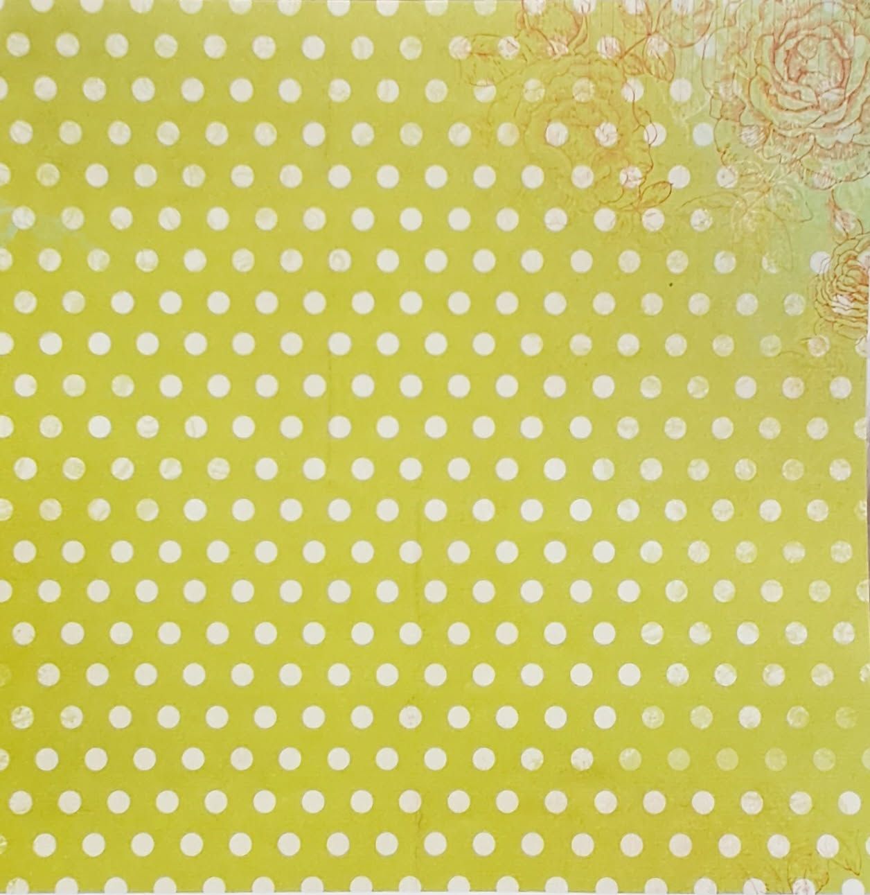 Kaisercraft - Devonshire Tea - 12&quot;x12&quot; Double-sided Paper - Wild Violets