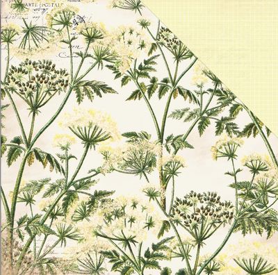Botanica
