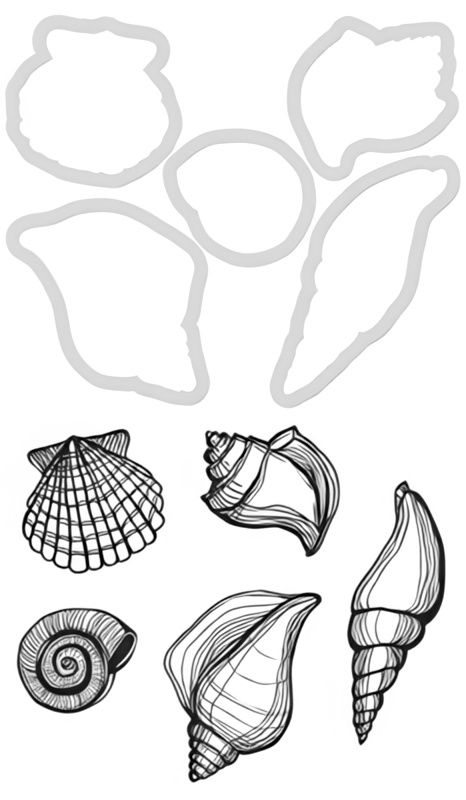 Kaisercraft - Stamp  and Die Set - Sea Shells