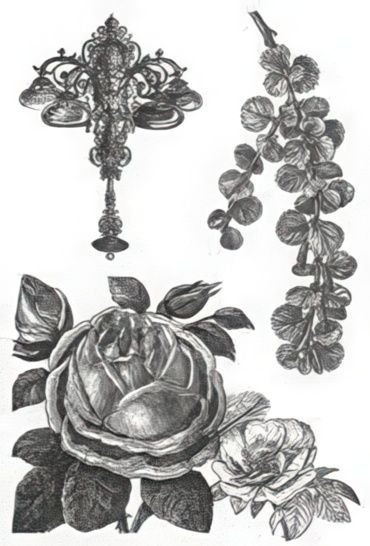 Kaisercraft - Clear Stamp Set - Periwinkle