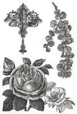 Kaisercraft - Clear Stamp Set - Periwinkle