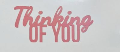 Kaisercraft - Decorative Die - Words - Thinking of You
