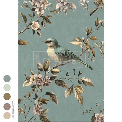 Latest Arrivals - Prima Marketing