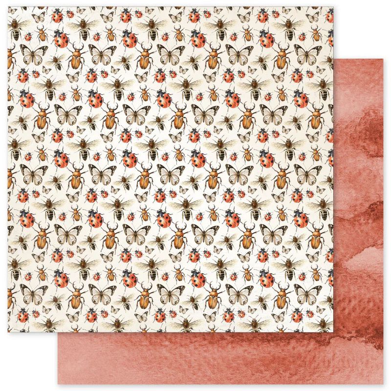 Paper Rose - 12"x12" Double-sided Paper - Poppy Garden - C