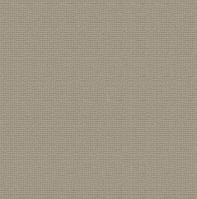 Couture Creations - 12&quot;x12&quot; Textured Cardstock - 216gsm - Silver Star