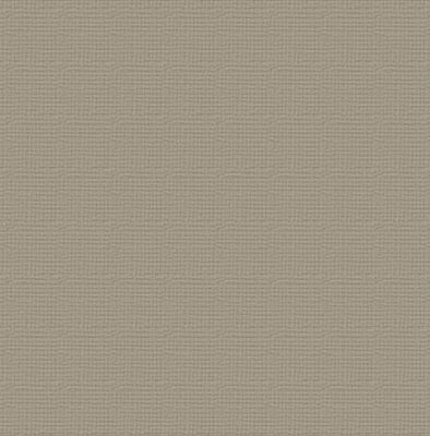 Couture Creations - 12&quot;x12&quot; Textured Cardstock - 216gsm - Silver Star