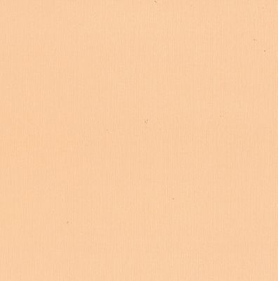 Couture Creations - 12&quot;x12&quot; Textured Cardstock - 216gsm - Soft Peach