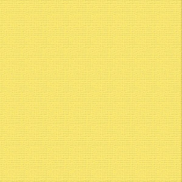 Couture Creations - 12&quot;x12&quot; Textured Cardstock - 216gsm - Raincoat