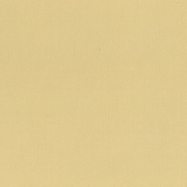 Couture Creations - 12&quot;x12&quot; Textured Cardstock - 216gsm - Oat