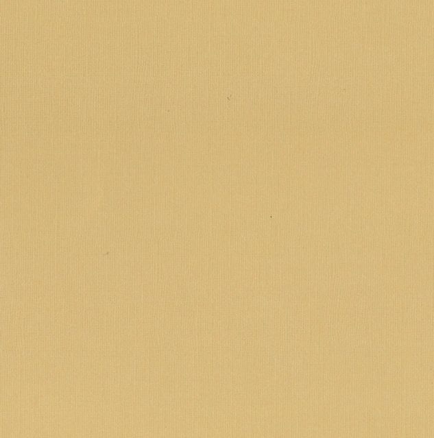 Couture Creations - 12&quot;x12&quot; Textured Cardstock - 216gsm - Chai