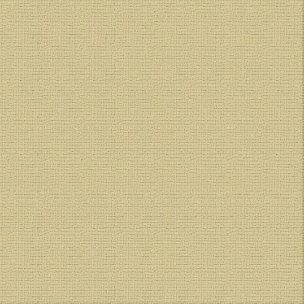 Couture Creations - 12&quot;x12&quot; Textured Cardstock - 216gsm - Driftwood