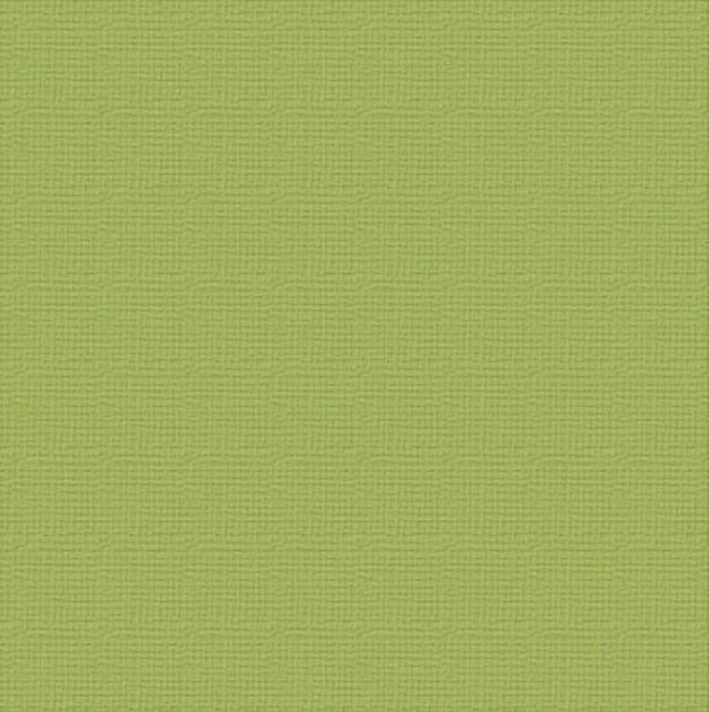 Couture Creations - 12&quot;x12&quot; Textured Cardstock - 216gsm - Olive Grove