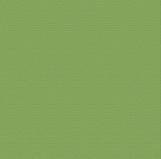 Couture Creations - 12&quot;x12&quot; Textured Cardstock - 216gsm - Jungle
