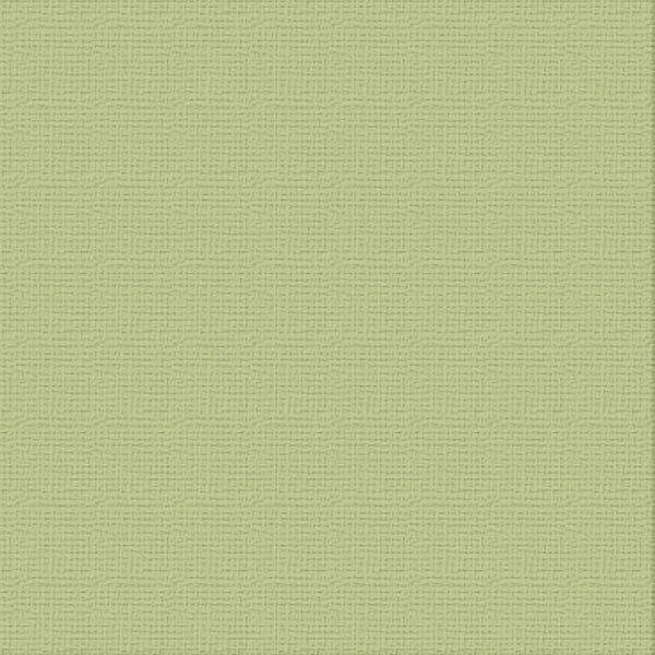 Couture Creations - 12&quot;x12&quot; Textured Cardstock - 216gsm - Verde