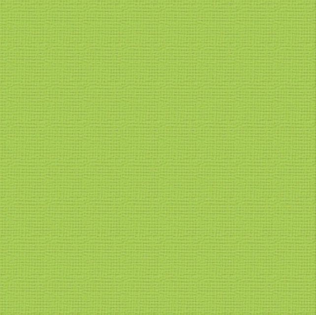 Couture Creations - 12&quot;x12&quot; Textured Cardstock - 216gsm - Chrysalis