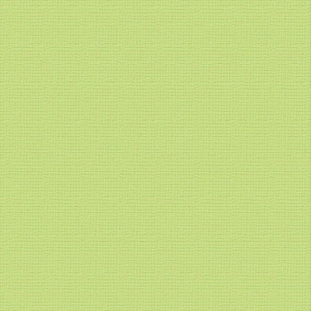 Couture Creations - 12&quot;x12&quot; Textured Cardstock - 216gsm - Mantis