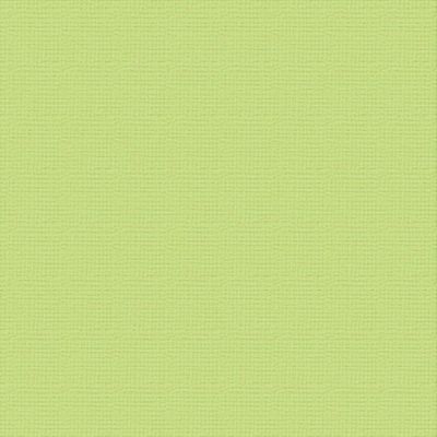 Couture Creations - 12&quot;x12&quot; Textured Cardstock - 216gsm - Mantis