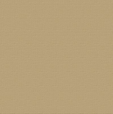 Couture Creations - 12"x12" Textured Cardstock - 216gsm - Paper Bag