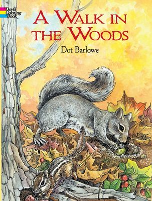 Dover Books - Colouring Books - A Walk in the Woods