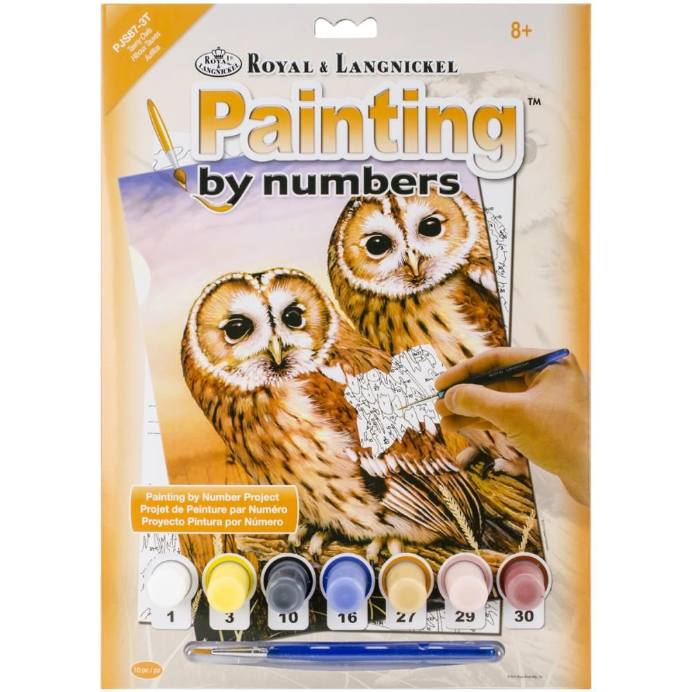 Royal &amp; Langnickel - Paint by Numbers Kit - Tawny Owls
