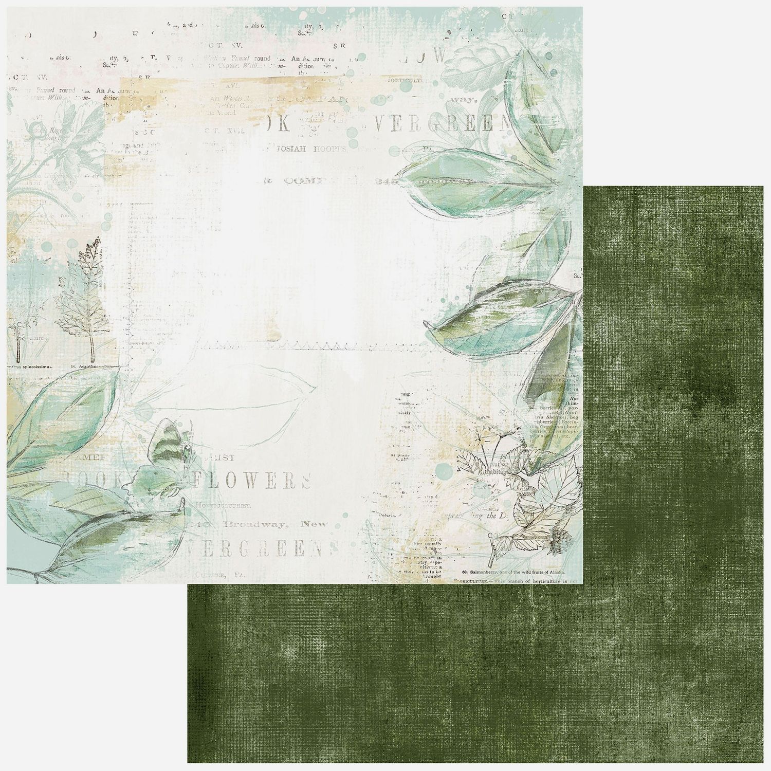 49 and Market - In Colour - Collectors Edition Volume 1 - 12&quot;x12&quot; Double-sided paper sheet - Paper 2