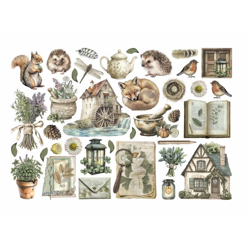 Stamperia - Herbarium Silvae - Ephemera