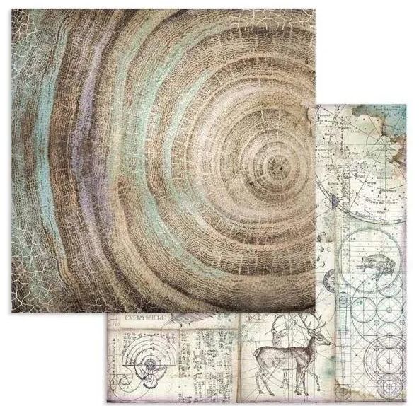 Stamperia - Cosmos - 12"x12" Double-sided Paper - Knots