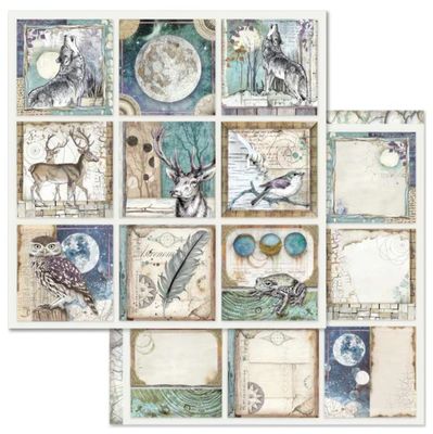 Stamperia - Cosmos - 12"x12" Double-sided Paper - Cards