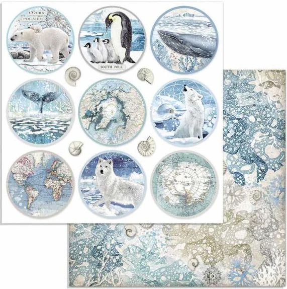 Stamperia - Arctic Antarctic - 12"x12" Double-sided Paper - Rounds