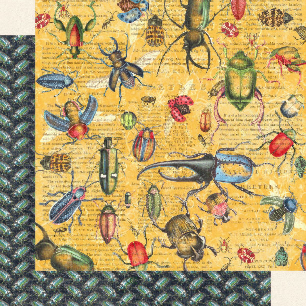 Graphic 45 - Flutter - 12"x12" D/S Paper - Serendipitous