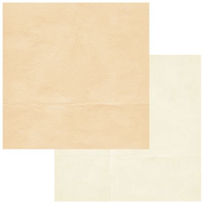 49 and Market - The Looking Glass - 12"x12" D/S Paper - Solid 4