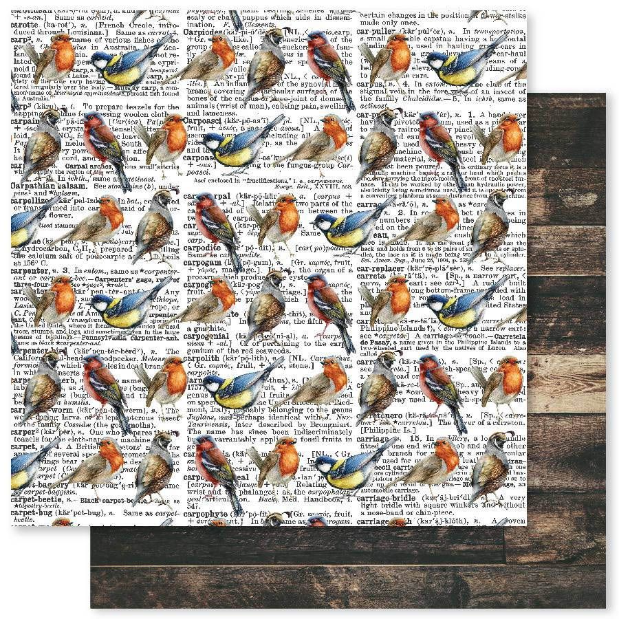 Paper Rose - Forest Walk - 12"x12" D/S Paper - D