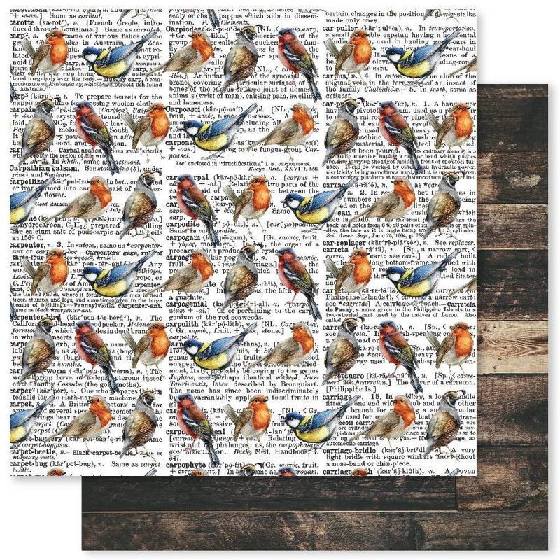 Paper Rose - Forest Walk - 12"x12" D/S Paper - D