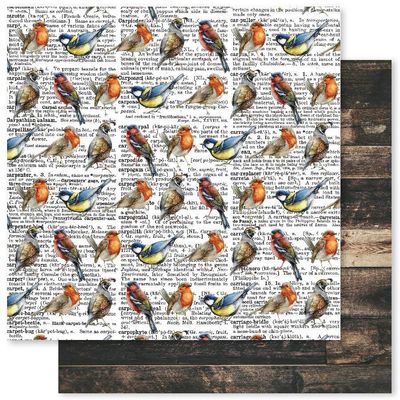 Paper Rose - Forest Walk - 12"x12" D/S Paper - D