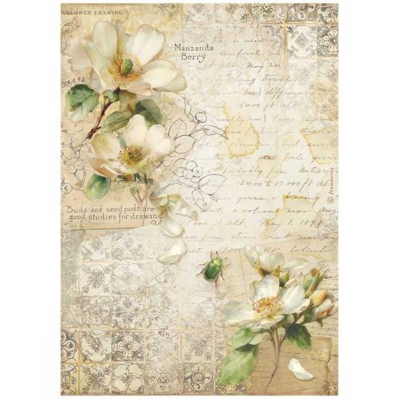 Stamperia - All Around - A4 Rice Paper - Camellia