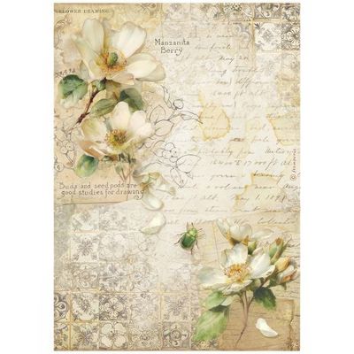 Stamperia - All Around - A4 Rice Paper - Camellia