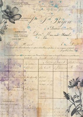 7 Dot Studio - A4 Rice Paper - Botanica - Herbarium Ledger