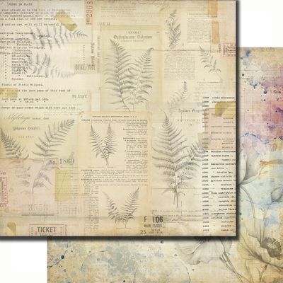 7 Dot Studio - Botanica - 12"x12" D/S Paper - Botanical Collage