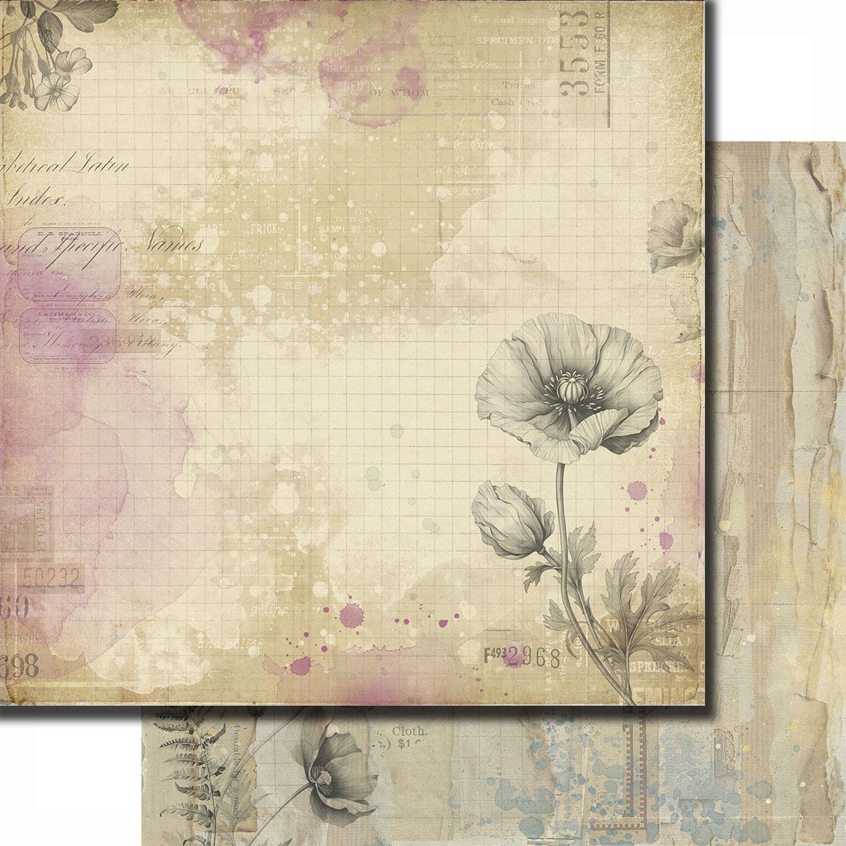 7 Dot Studio - Botanica - 12 7 Dot Studio - Botanica - 12"x12" D/S Paper - Wild Specimen