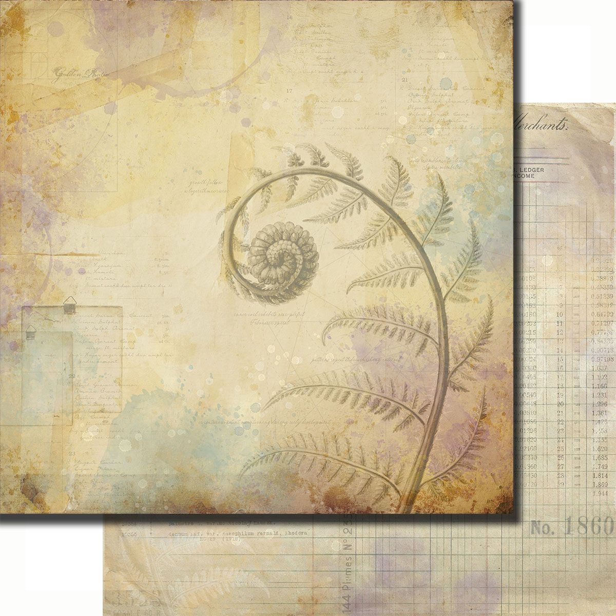 7 Dot Studio - Botanica - 12 7 Dot Studio - Botanica - 12"x12" D/S Paper - Spira Mirabilis