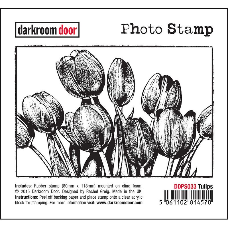 Darkroom Door - Photo Stamp - Tulips