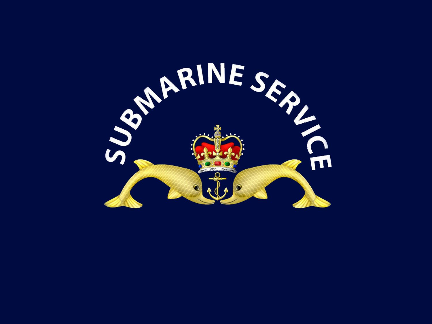 Royal Navy Submarine Service Exclusive and Stunning Medals Box