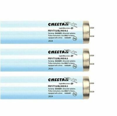 24 Cheetah 9.5 Reflector Lamp Kit FR71T12BLHO Bulbs