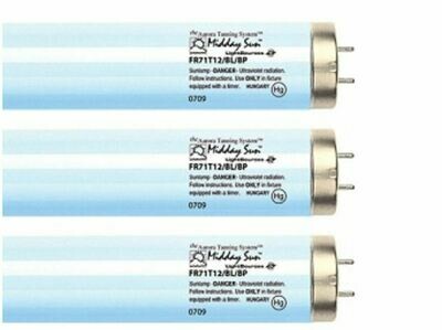 2 Midday Sun Lamps 100 Watt BiPin Reflector Replaces ESB 532000 533000