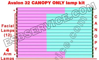 32 Avalon CANOPY ONLY Lamp Kit, Sunergy with Face and Arm 20 Minute