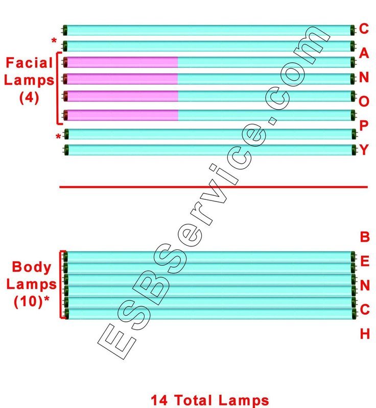 14 Sunergy Lamp Kit With 4 Face Bulbs and 10 Body Bulbs 20 Minute