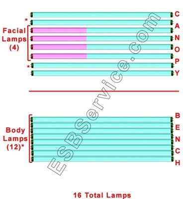 16 Advantage PWR III ESB Body Bronzing Lamp Kit with Face