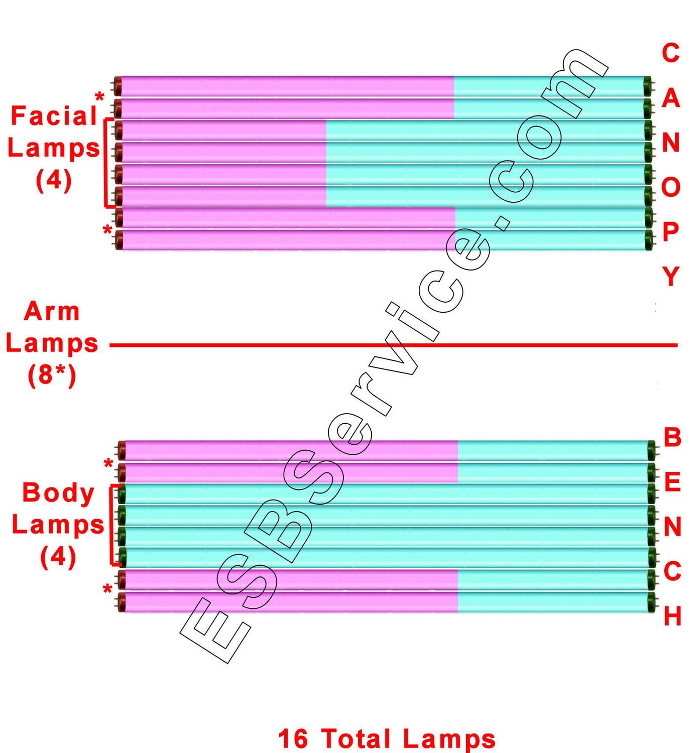 16 Advantage PWR III ESB Body Bronzing Lamp Kit with Face and Arm
