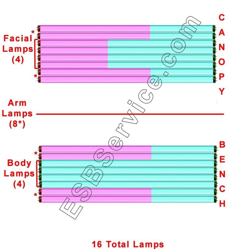 16 Avalon Lamp Kit, Sunergy Body with Face and Arm, 20-minute